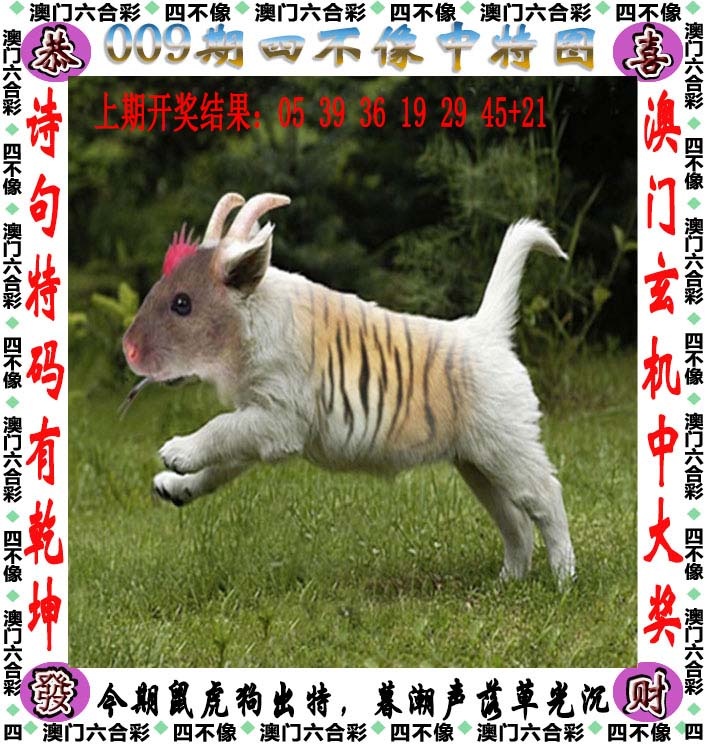 009期四不像[图]