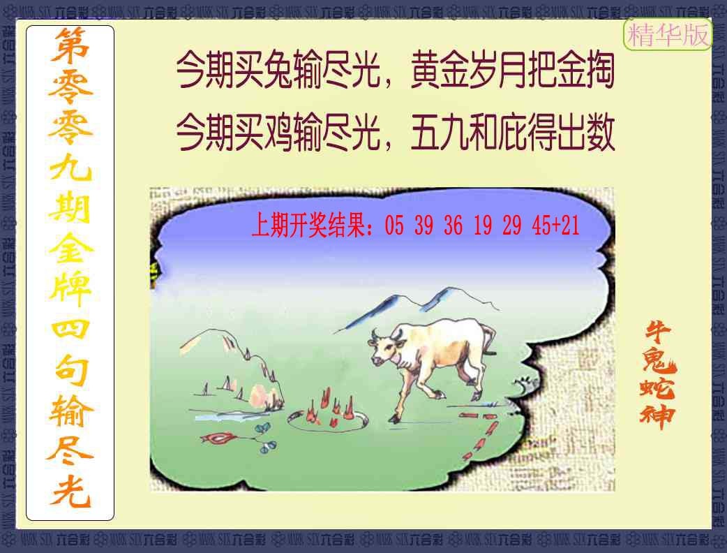 009期金牌四句输尽光[图]