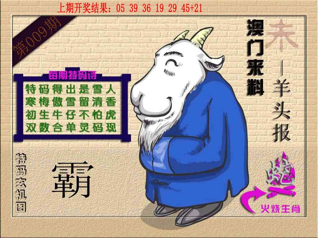 009期(来料)羊报[图]
