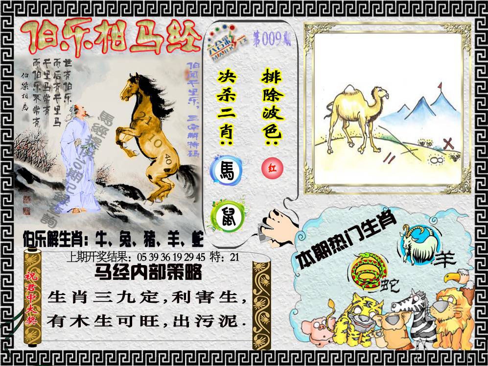009期伯乐相马经[图]