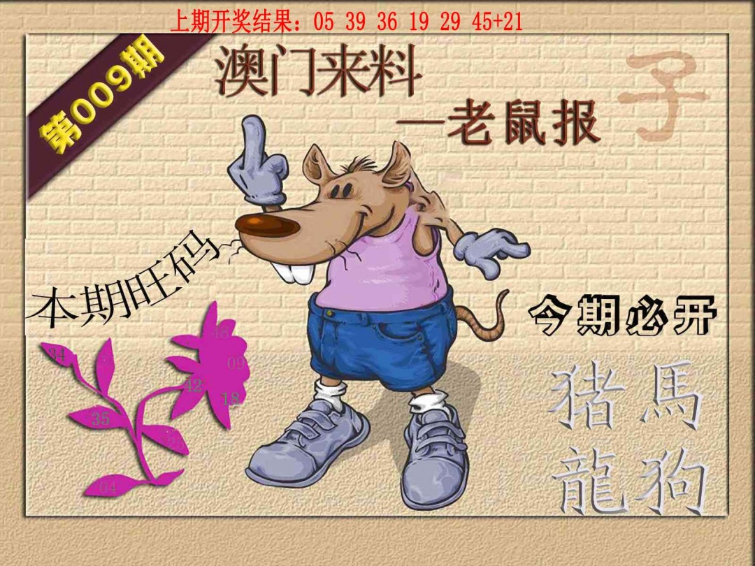 009期(来料)鼠报[图]