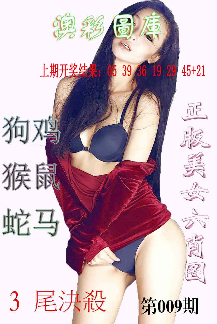 009期美女六肖图-1[图]