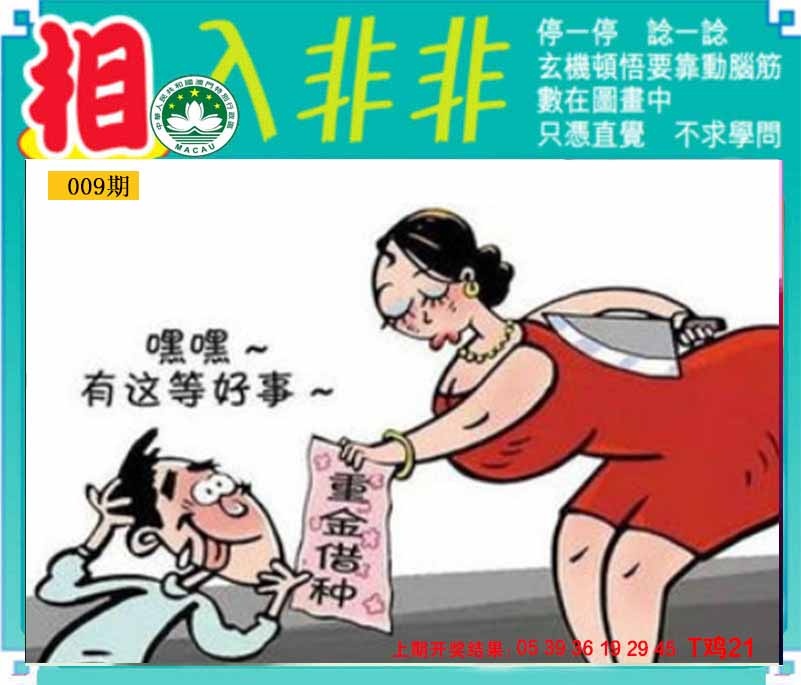 009期相入非非[图]