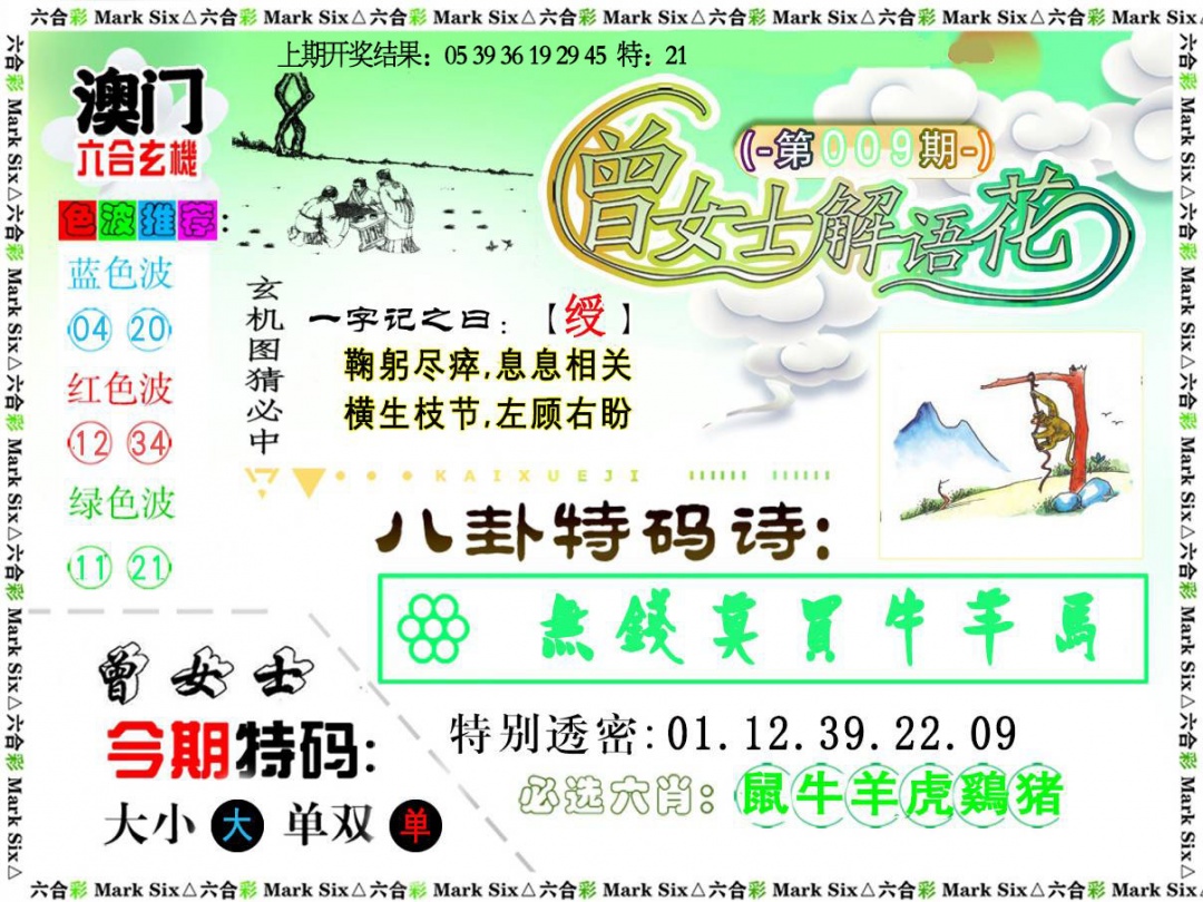 009期曾女士解语花[图]