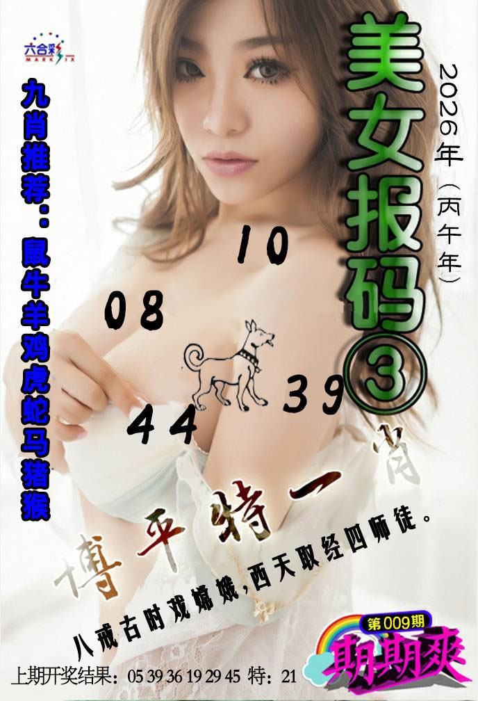 009期美女码报3[图]