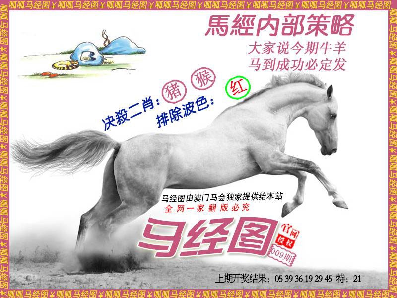 009期马经5[图]