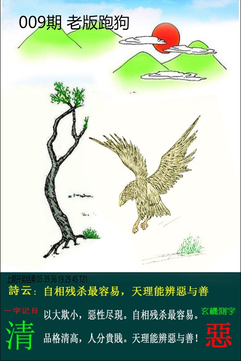 009期老板跑狗[图]