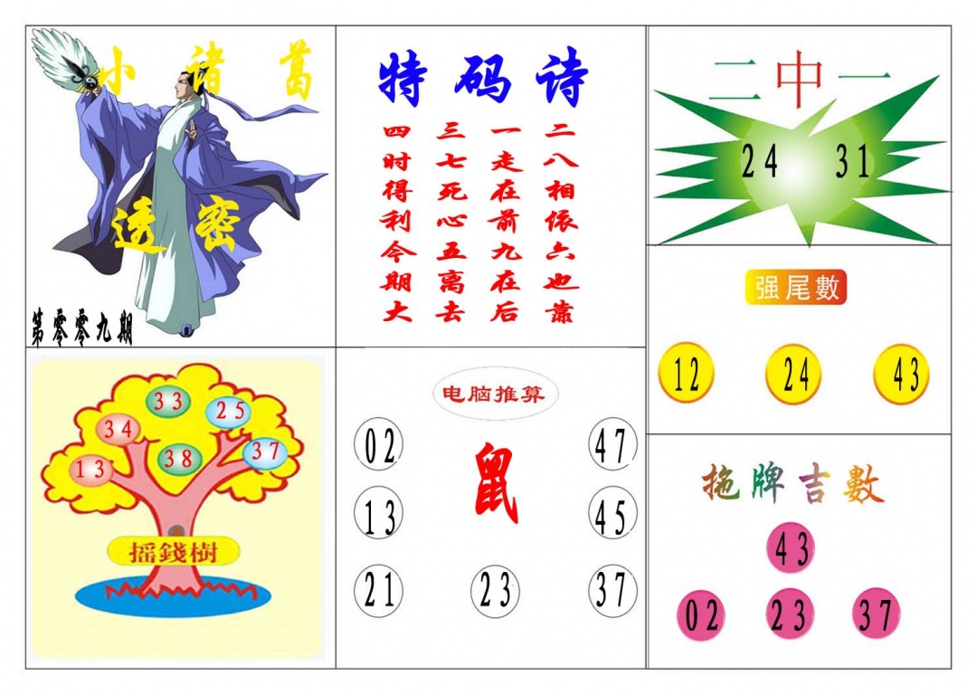 009期小诸葛[图]