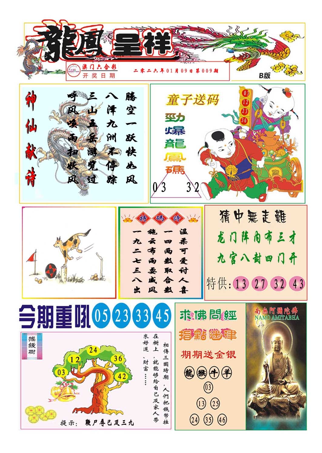 009期龙凤呈祥B[图]