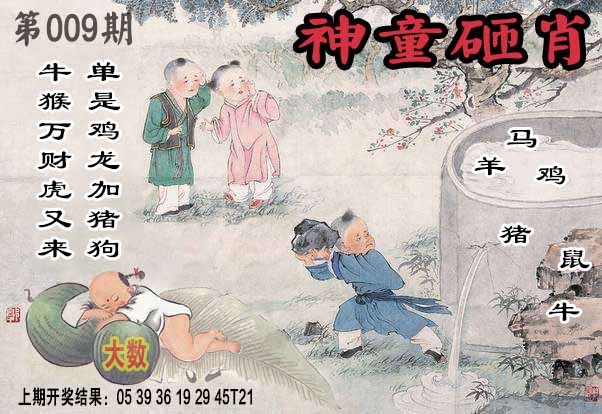 009期神童砸肖[图]