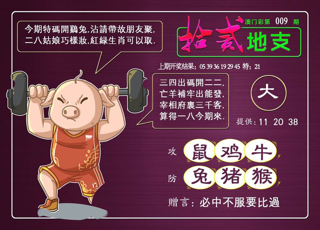 009期十二地支[图]