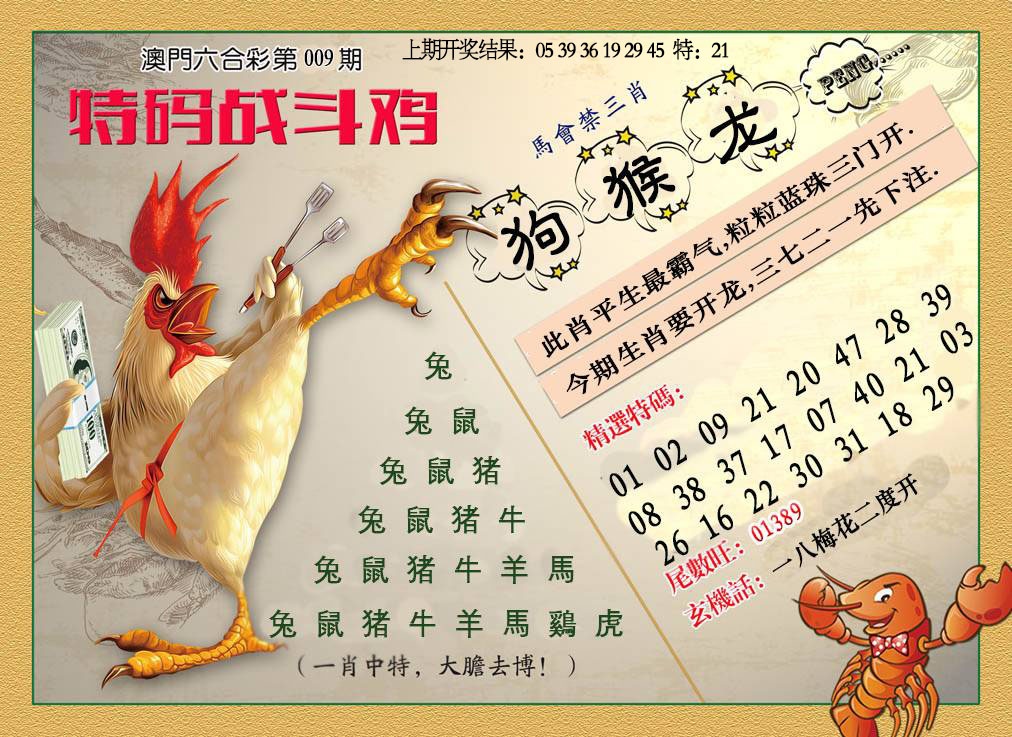 009期特码战斗机[图]