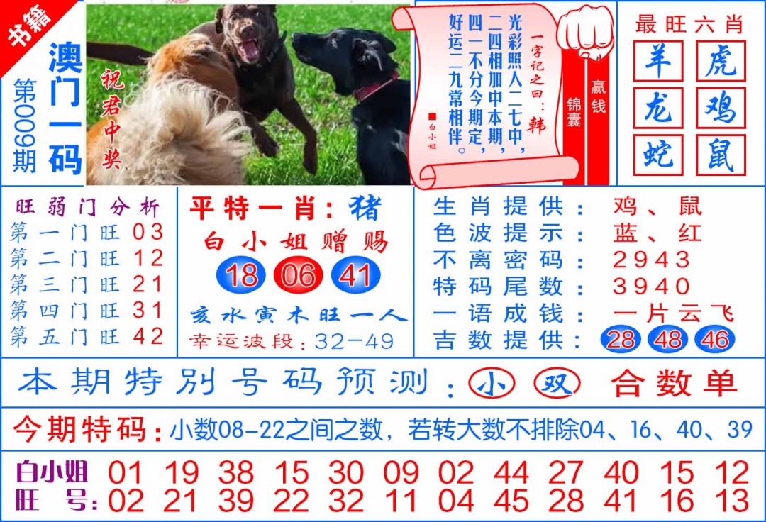 009期澳门飞龙宝典[图]