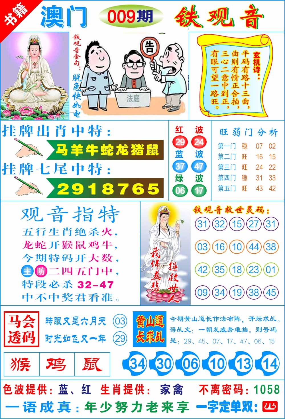 009期澳门铁观音[图]