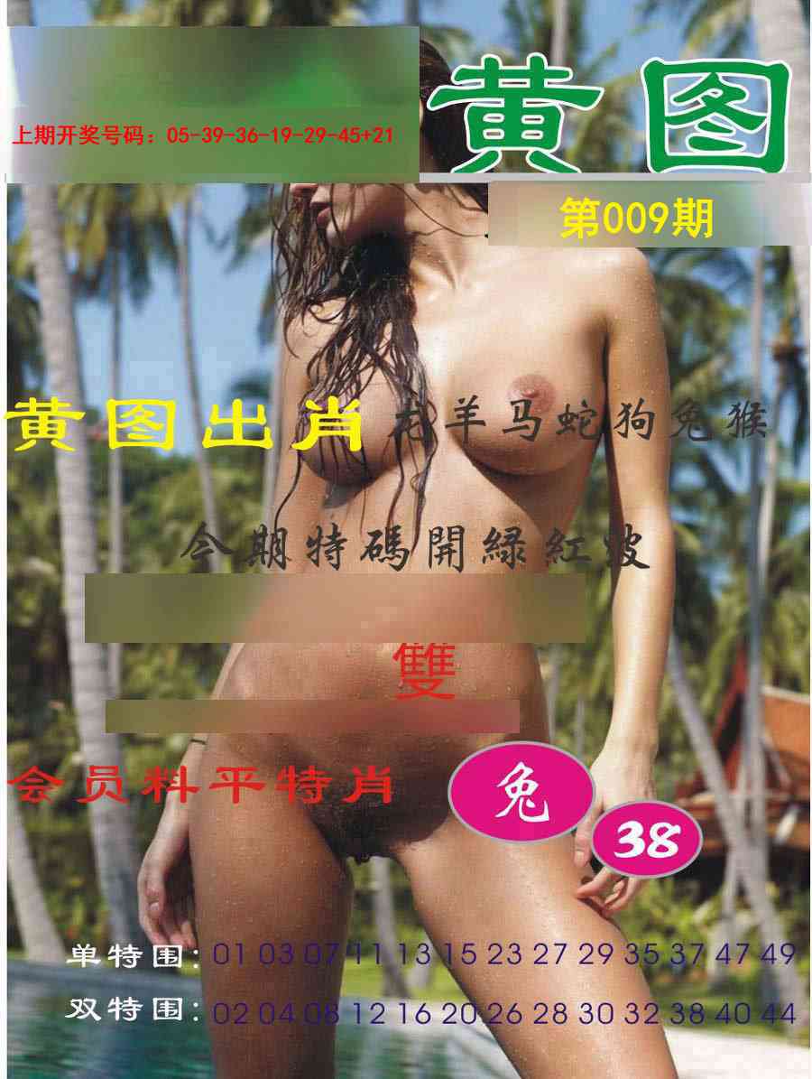 009期黄图[图]