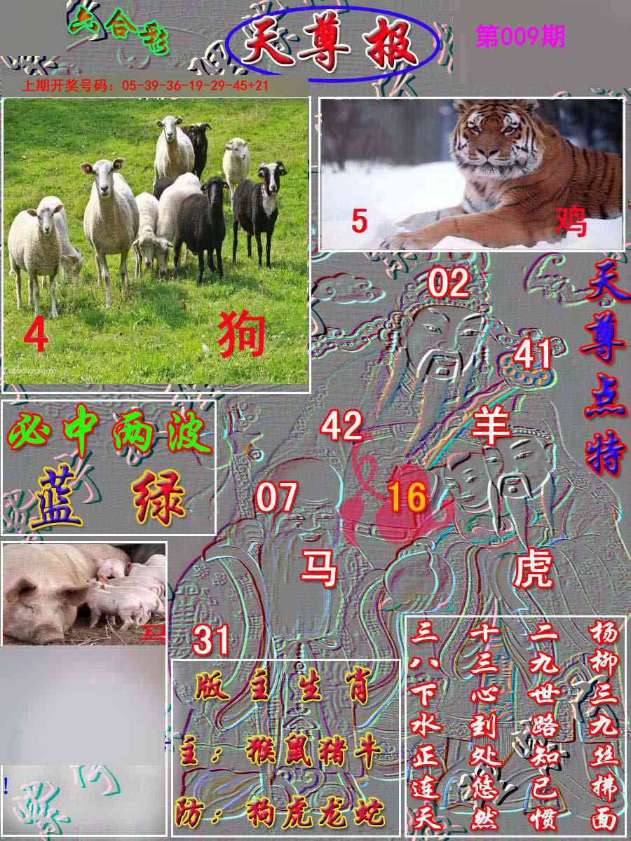 009期天尊报[图]