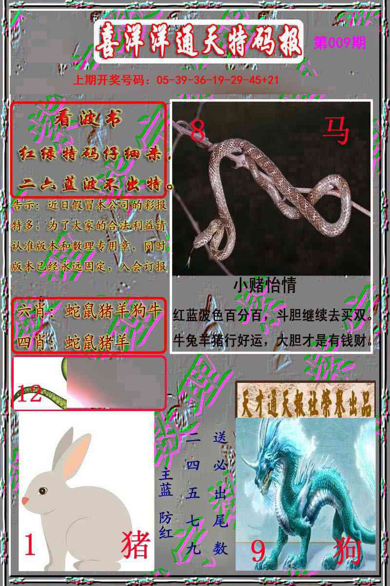 009期洋通报[图]