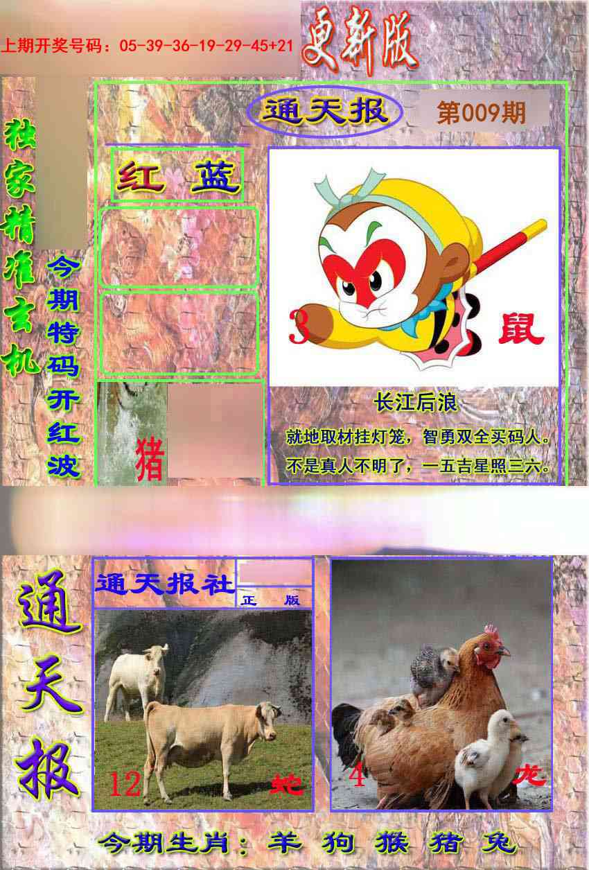 009期新通报[图]