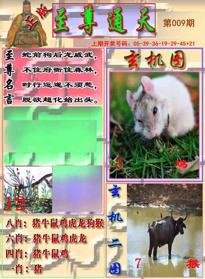 009期至通报[图]