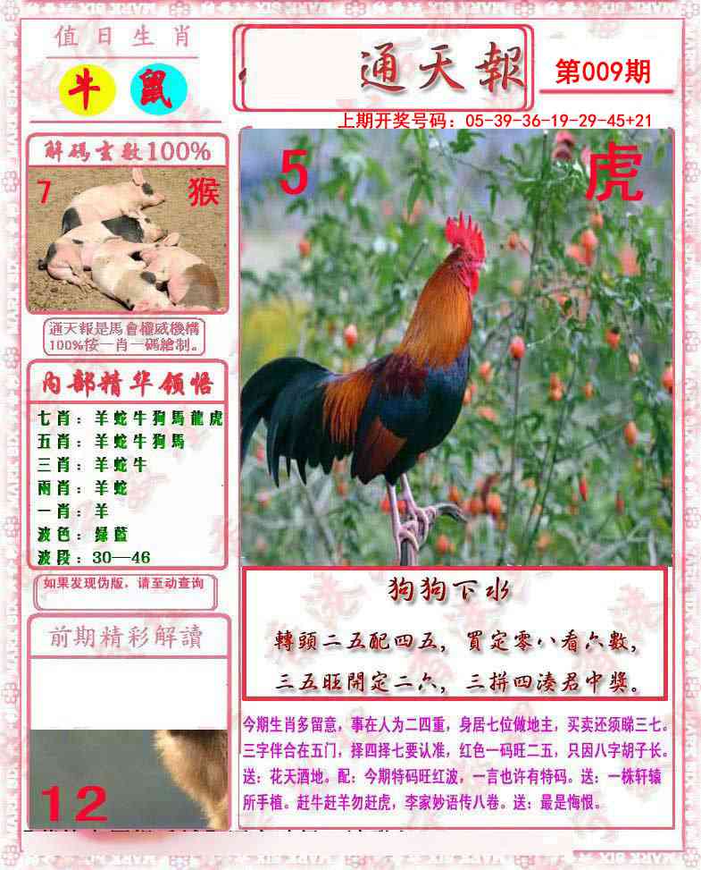 009期马经通天报[图]