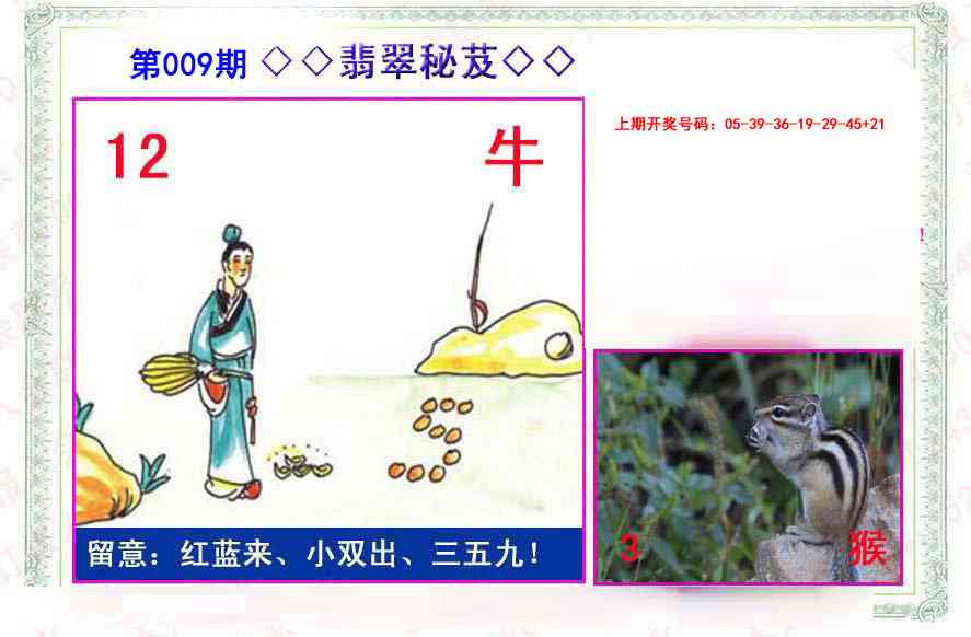 009期翡翠报[图]