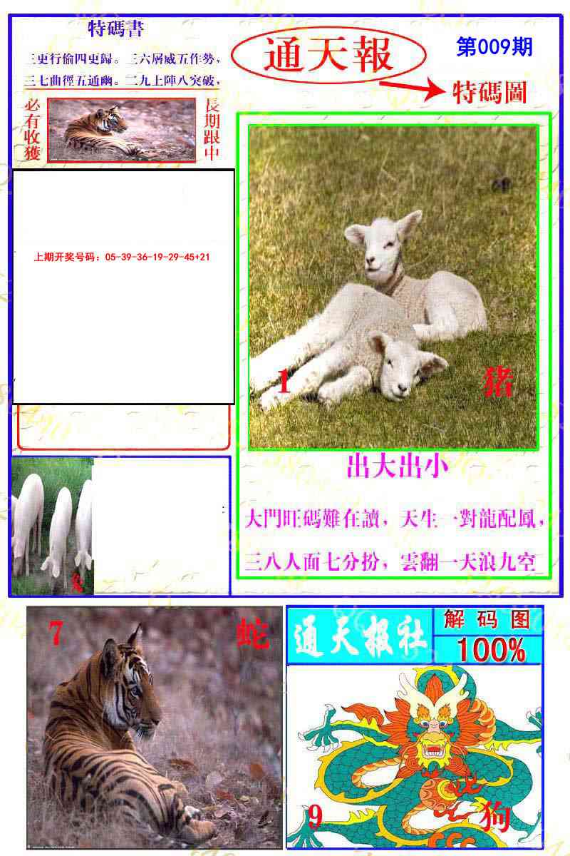 009期通天特解图[图]