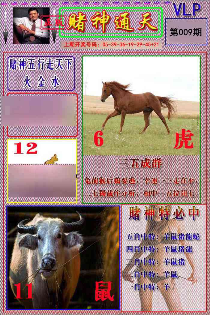 009期赌神通天报[图]