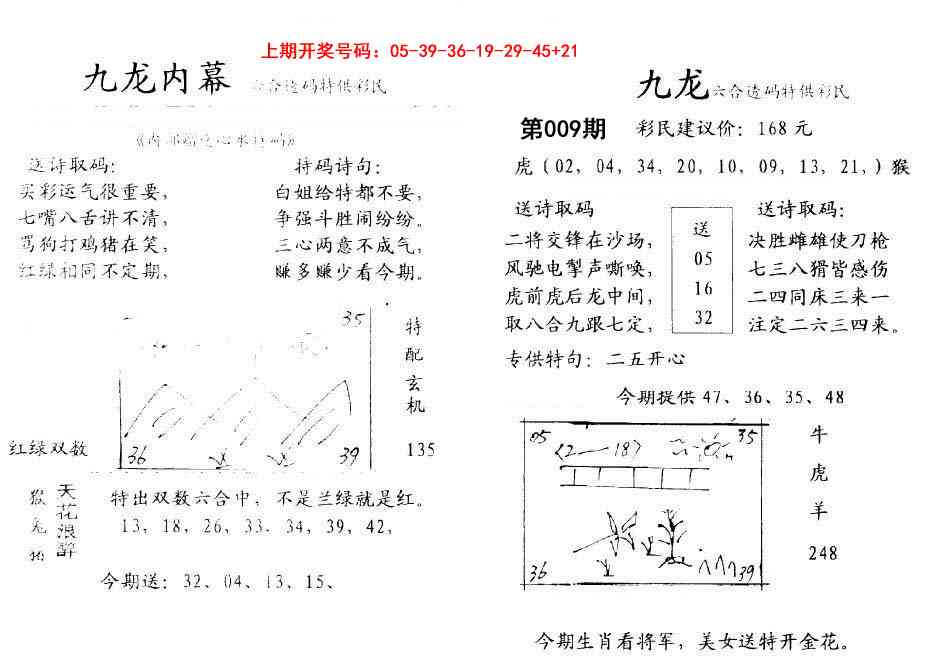 009期九龙内幕[图]