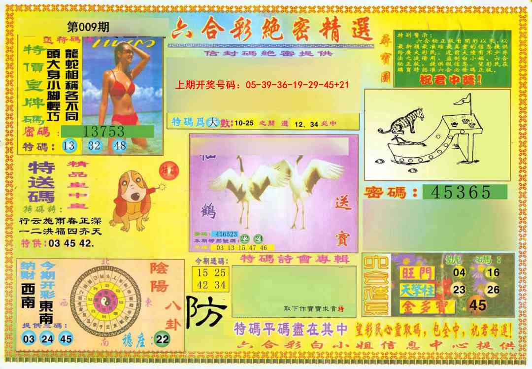 009期绝密精选A[图]