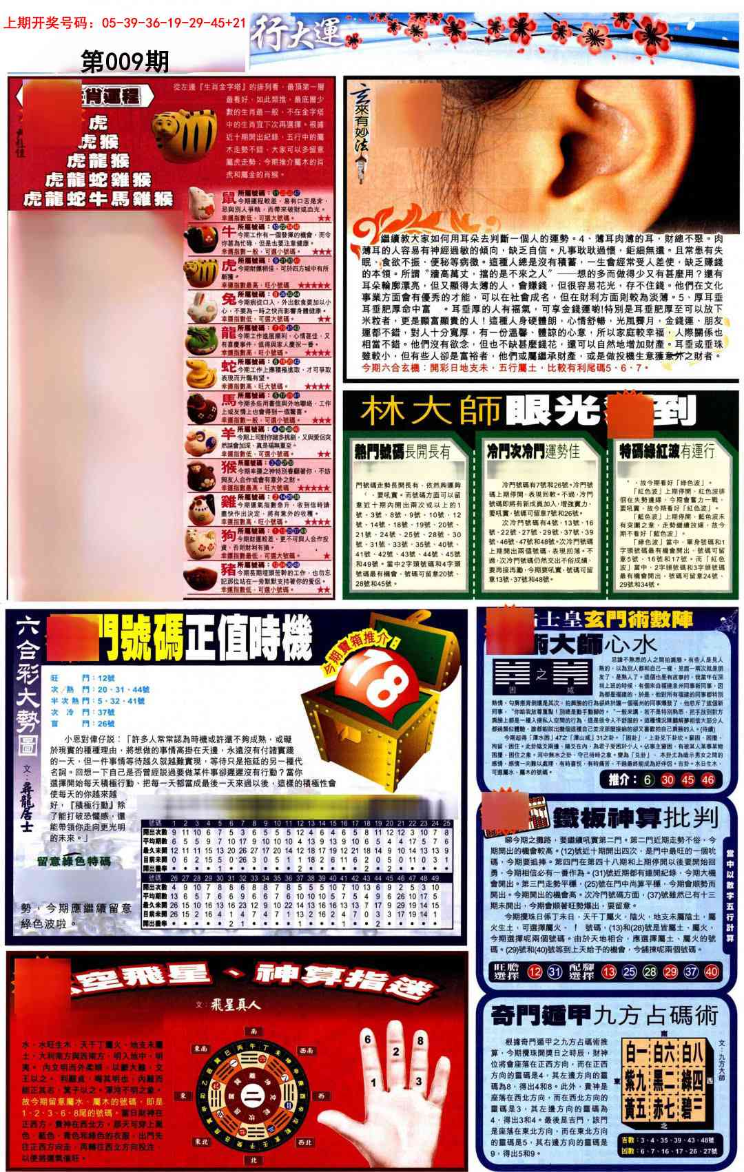 009期贴士皇C加大版[图]