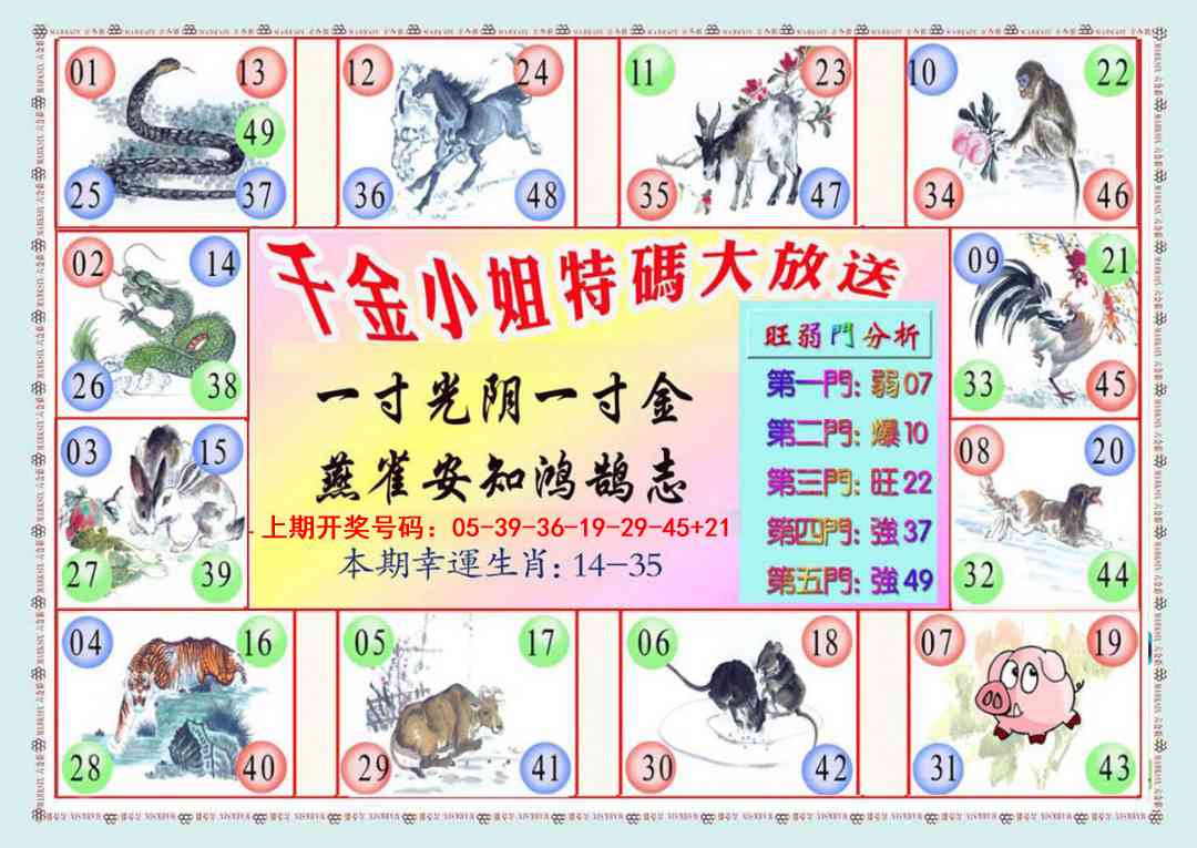 009期千金小姐B版[图]