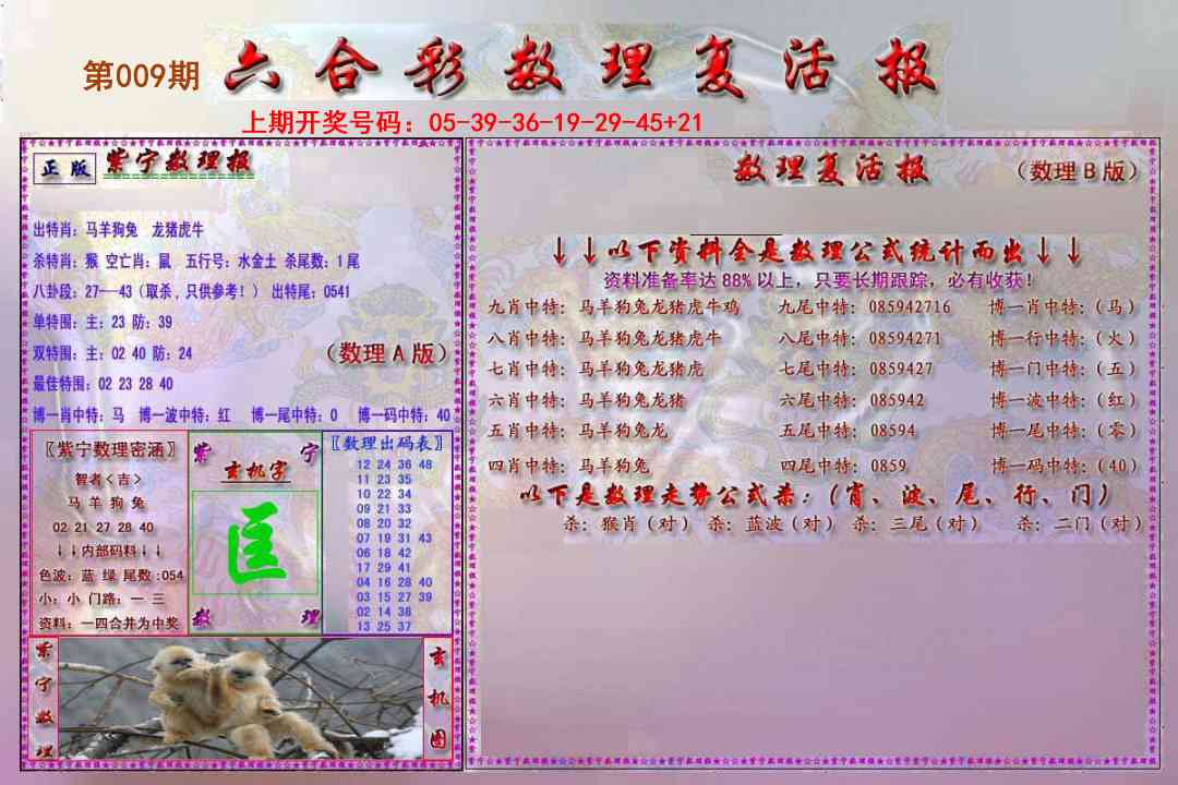 009期数理复活报[图]