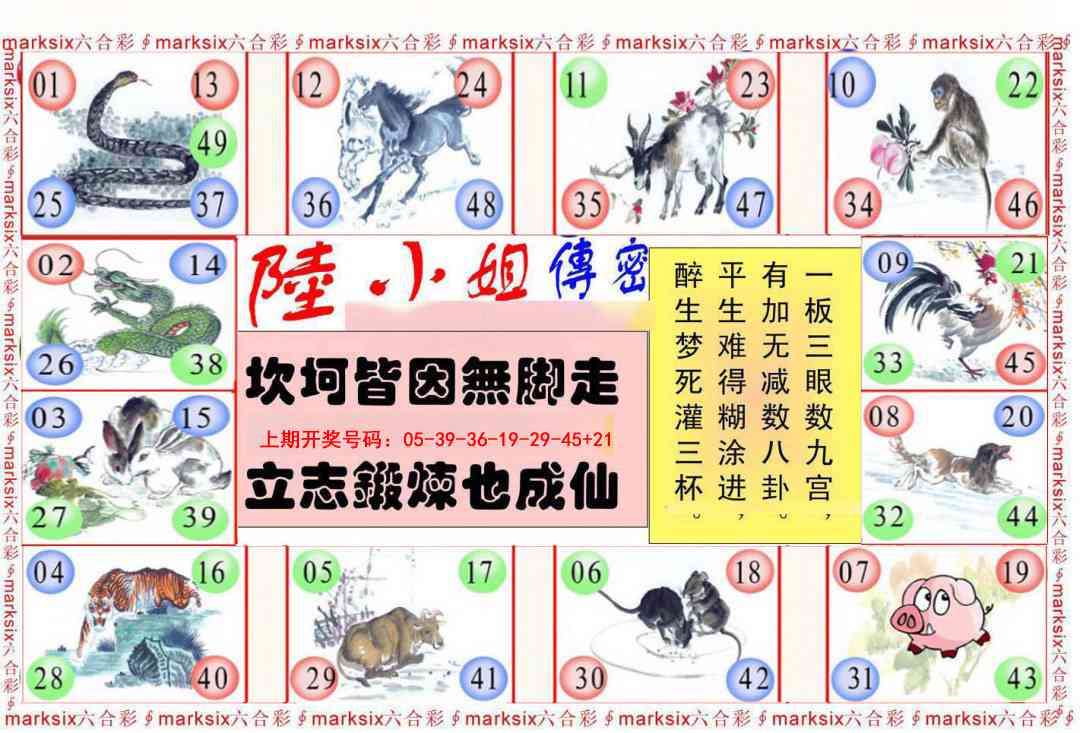 009期陆小姐传密B[图]