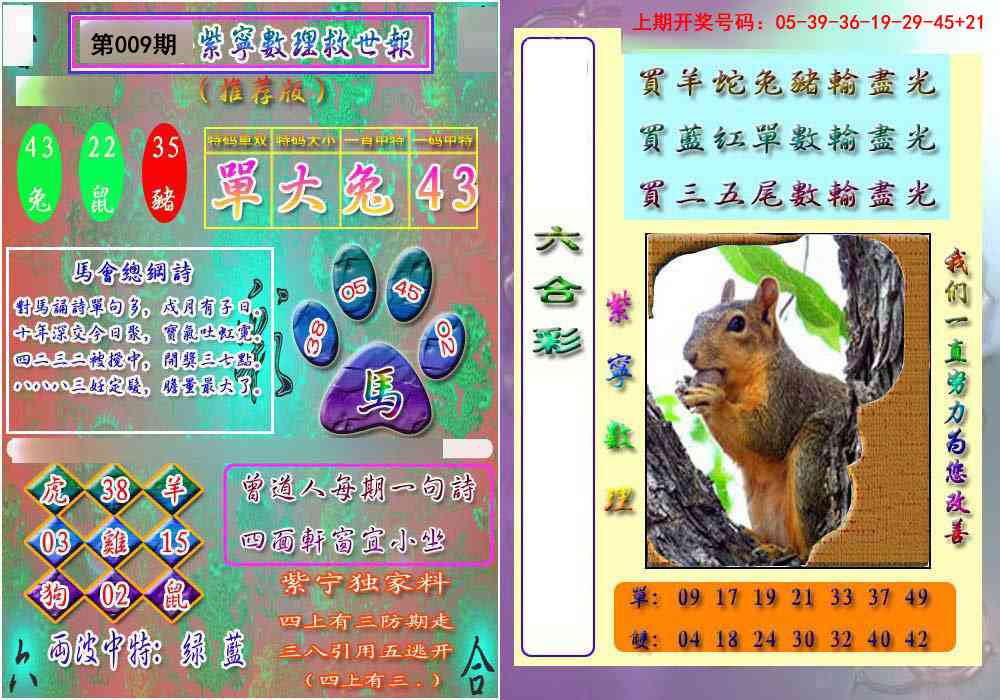 009期数理救世报[图]
