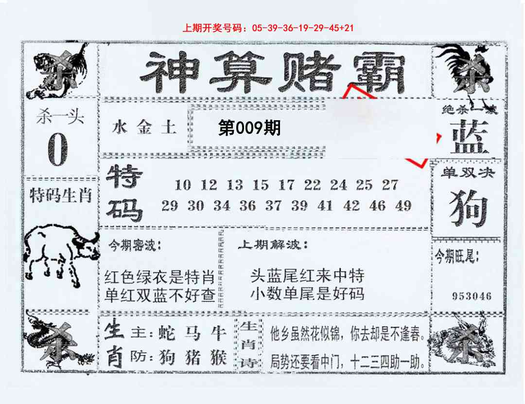 009期神算赌霸[图]