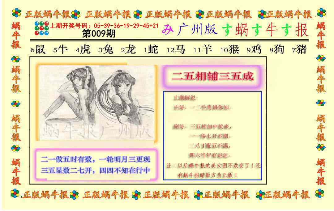 009期正版蜗牛报[图]