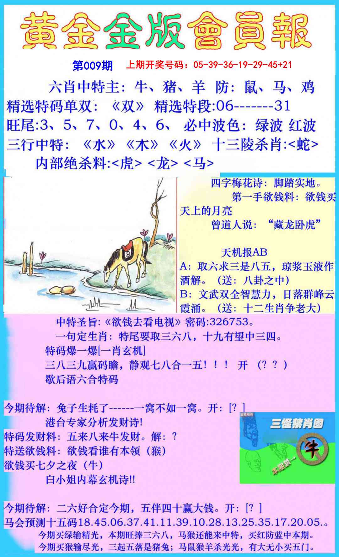 009期黄金金版会员报[图]