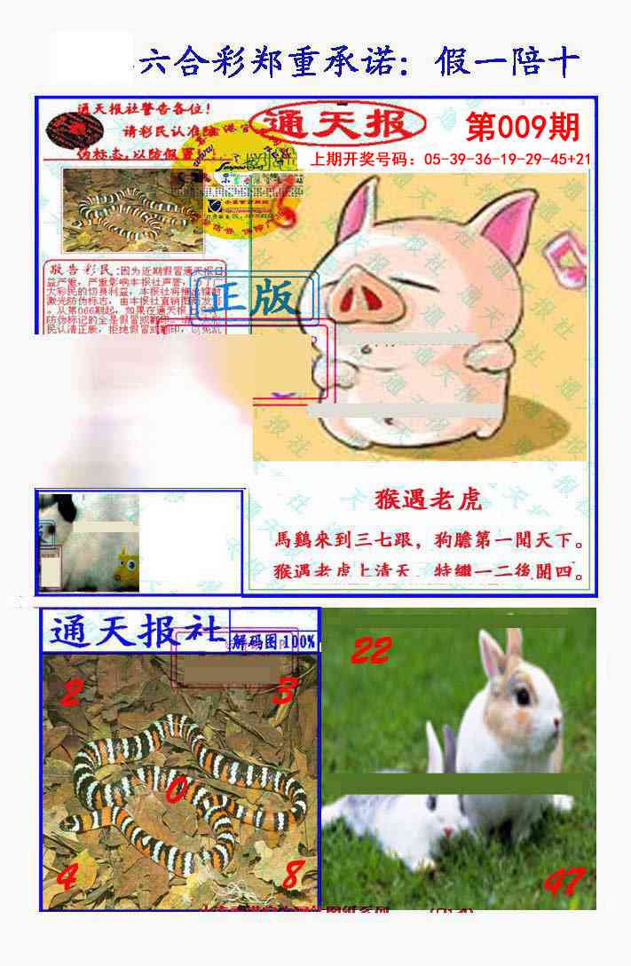 009期假一陪十通天报[图]