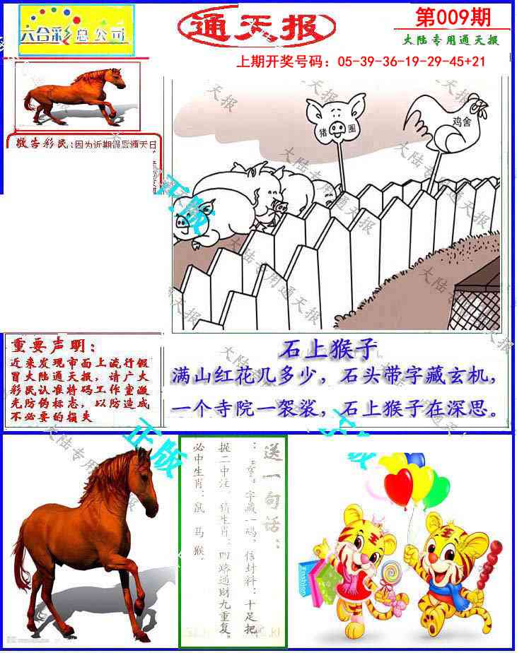 009期大陆通天报[图]