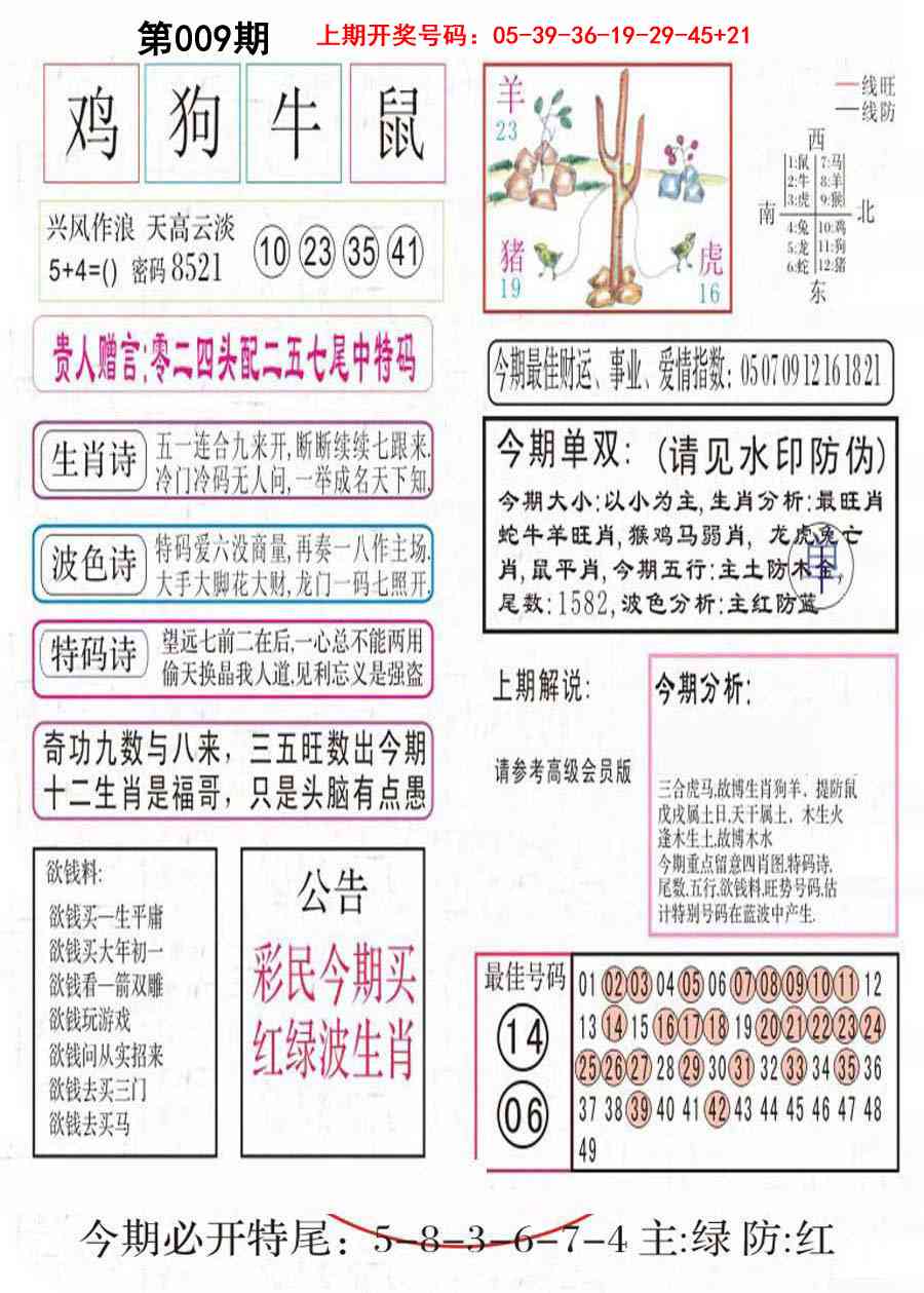 009期凤凰闲情A[图]