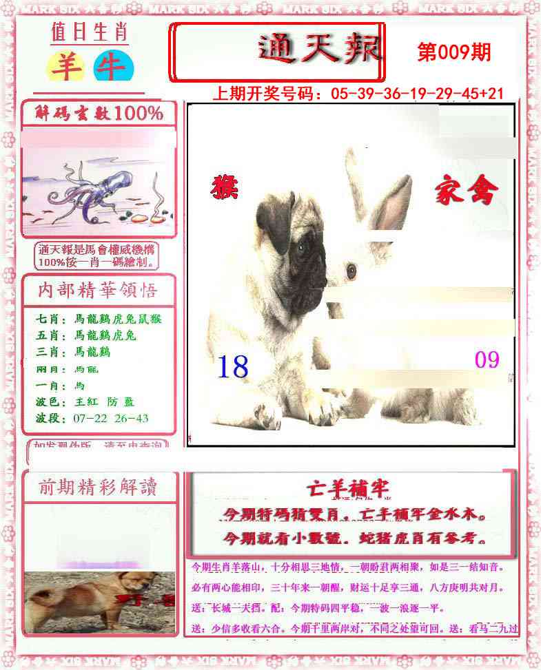009期小喜通天报[图]