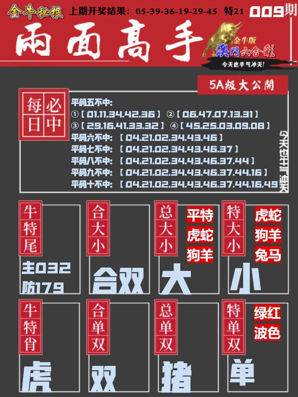 009期金牛两面高手[图]